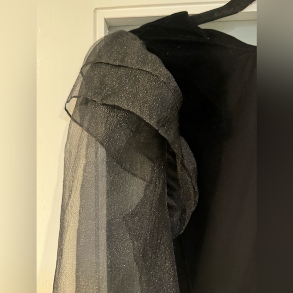 NWOT Zara Velvet blouse with Sheer Puffy Sleeves. Color Black / Size Small - Picture 7 of 10